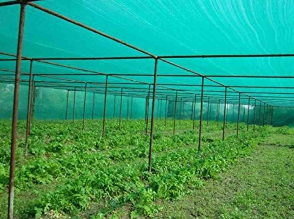 nursery nets
