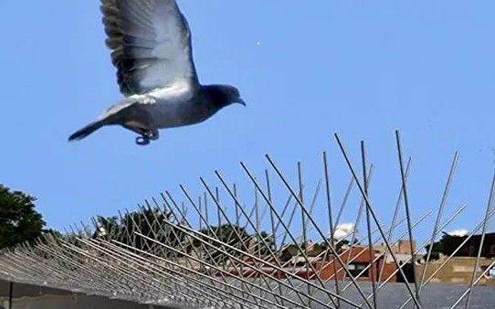 Best Safety Nets in Vizag